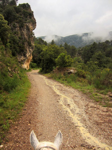 France-Provence-Cezanne Ride in Provence